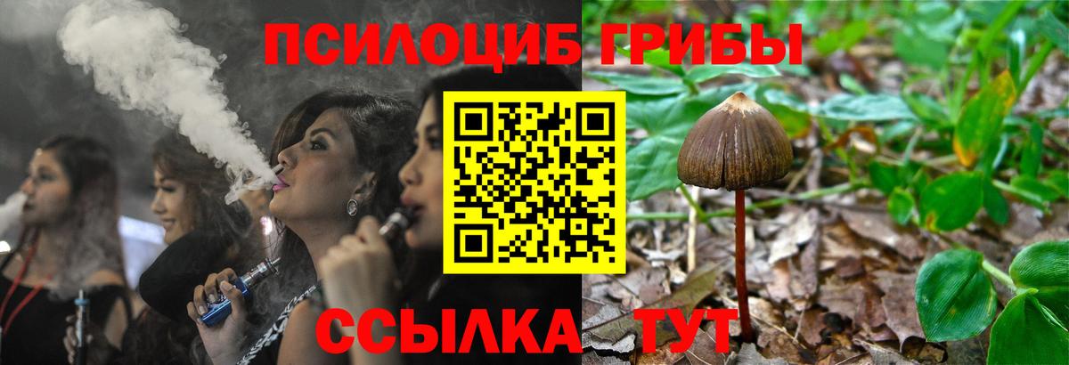 Можга  Псилоцибиновые грибы MAGIC MUSHROOMS  Псилоцибиновые грибы мухоморы  Вход с VPN 